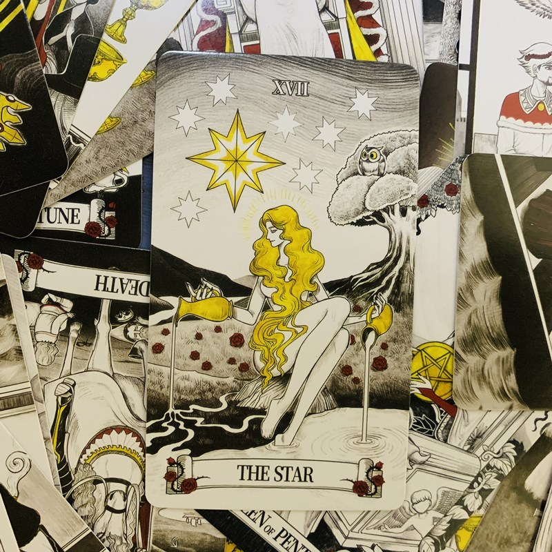 Секретные зеркальные карты Тар – обзор и цена Board Game Of Life